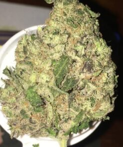 Buy 99 Problem Strain London