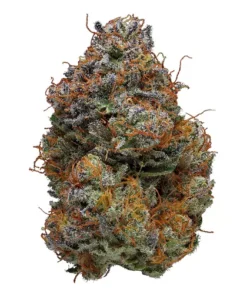 Buy Blackberry Kush Strain London