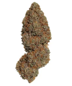 Buy Godfather OG Strain London