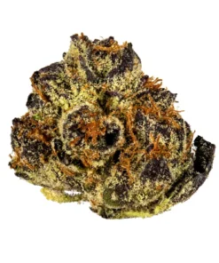 Buy Ice Cream Cake Strain London