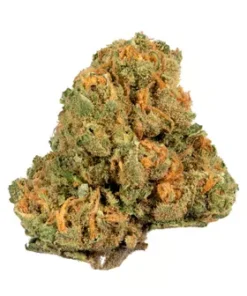 Buy Jack Herer Strain London UK