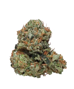Buy Sativa Strains London