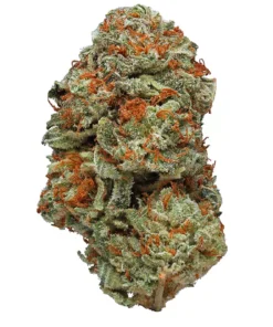 Buy LA Confidential Strain London