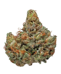 Buy Master Kush Strain London