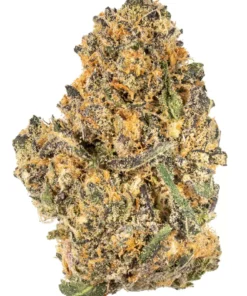 Buy Mendo Breath Strain London