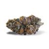 Buy Purple Punch Strain London