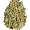Buy White Rhino Strain London