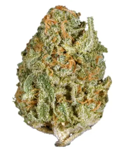Buy White Rhino Strain London