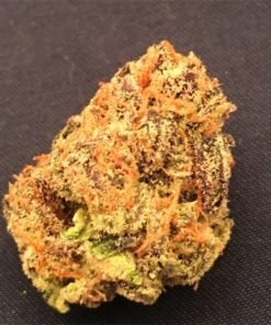 Buy Strawberry Dosi Strain London