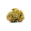 Buy Dolato Strain London