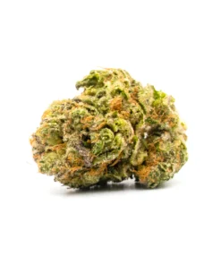 Buy Dolato Strain London