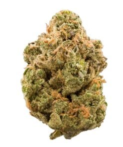 Buy Girl Scout Cookies Strain London
