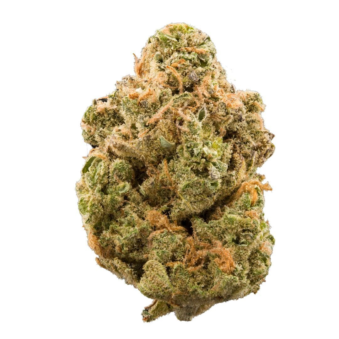 Buy Girl Scout Cookies Strain London