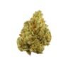 Buy Tangie Strain London