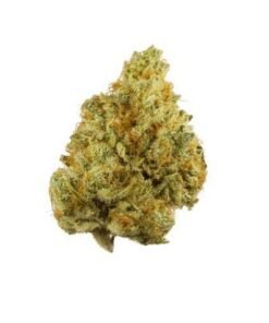 Buy Tangie Strain London
