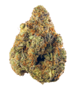 Buy Hindu Kush Strain London