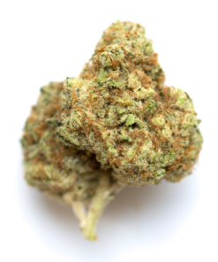 Buy Watermelon Kush Strain London